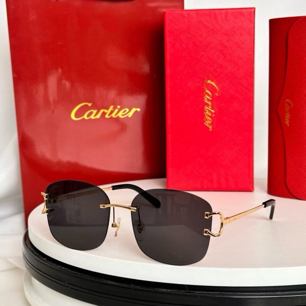 CAR Eyewear SIZE: 52-19-145