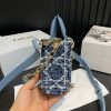 Lady D-joy new arrival bag size: 22*5*12cm