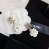 cc Earrings