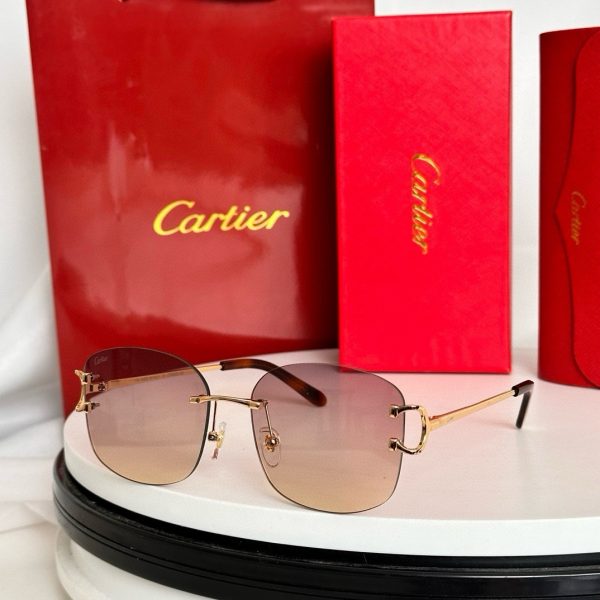 CAR Eyewear SIZE: 52-19-145