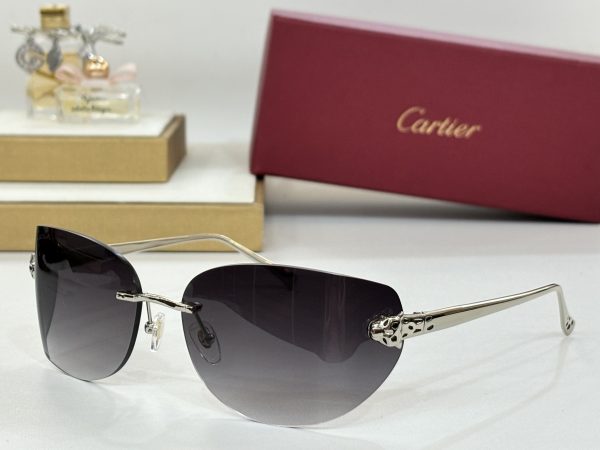 CAR Eyewear SIZE: 51-15-115