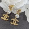 cc Earrings