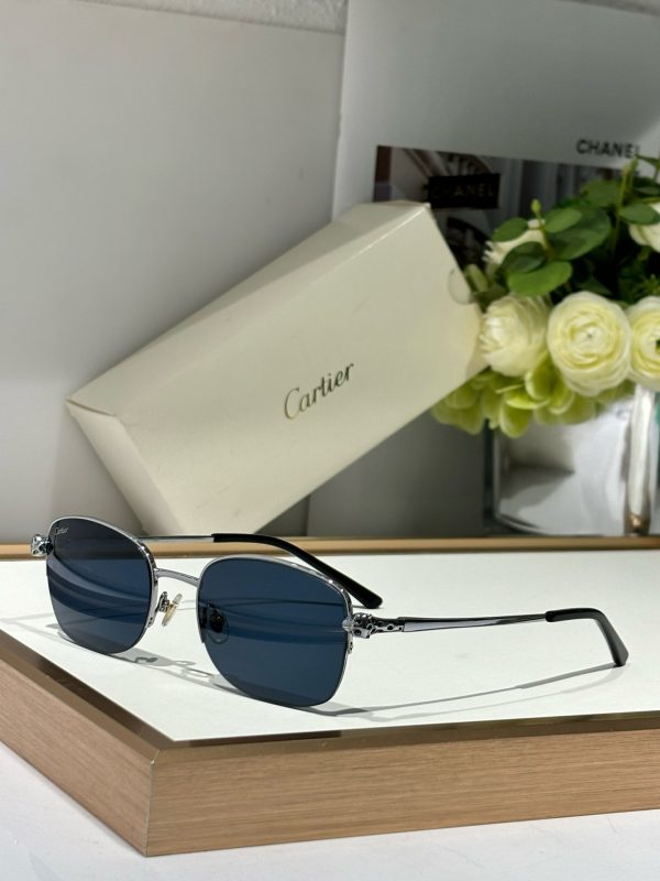CAR Eyewear SIZE: 54-19-145