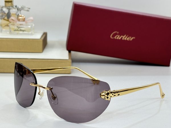 CAR Eyewear SIZE: 51-15-115