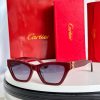 CAR Eyewear SIZE: 52-19-140