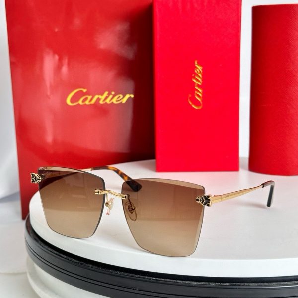CAR Eyewear SIZE: 61-14-145