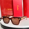 CAR Eyewear SIZE: 50-22-145