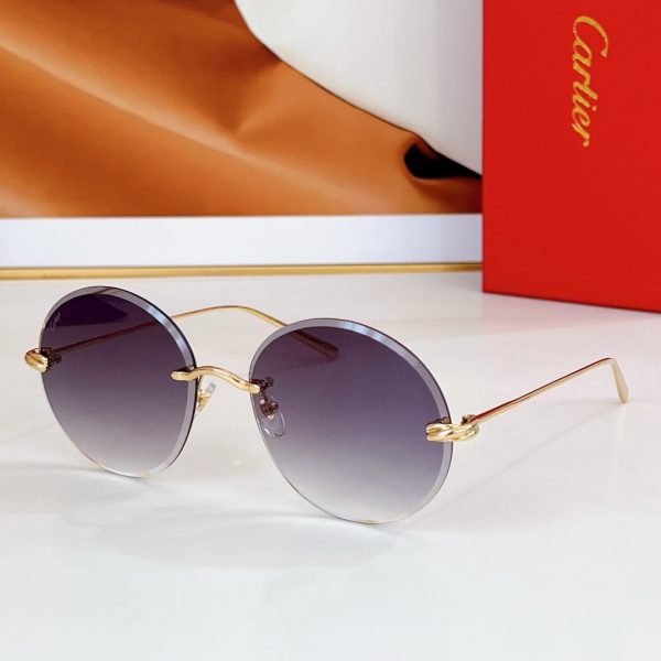 CAR Eyewear SIZE: 53-21-145