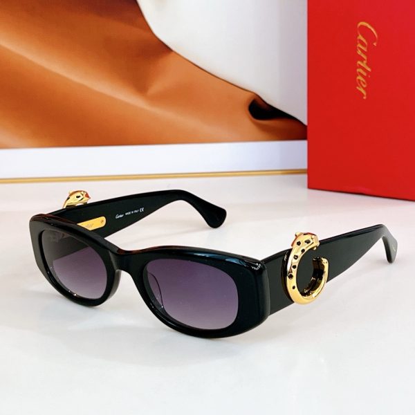 CAR Eyewear SIZE: 50-22-145