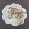 cc Earrings