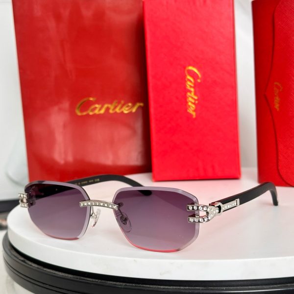 CAR Eyewear SIZE: 56-18-145