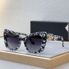 D*G Eyewear SIZE: 53-20-140