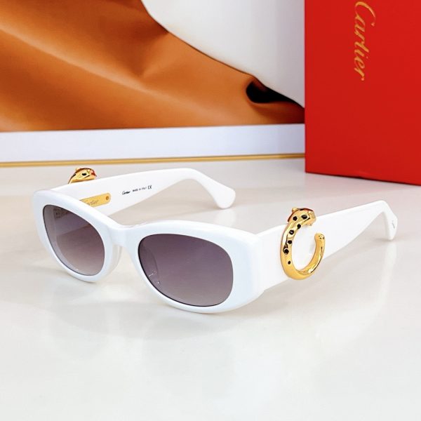 CAR Eyewear SIZE: 50-22-145