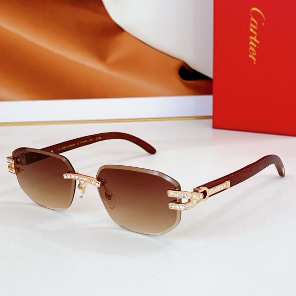 CAR Eyewear SIZE: 56-18-145