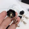 cc Earrings