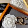 cc Brooch