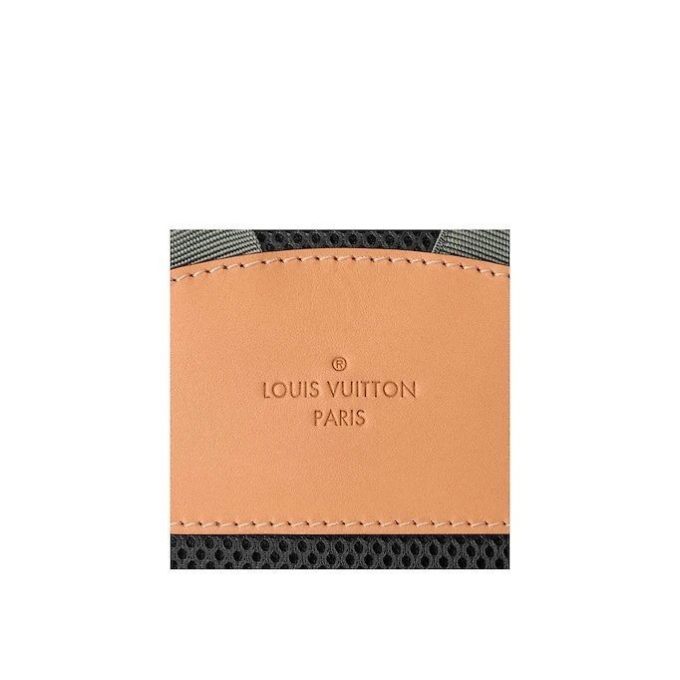 L Backpack PM M43882 - Image 2