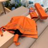 HM Umbrella 0004