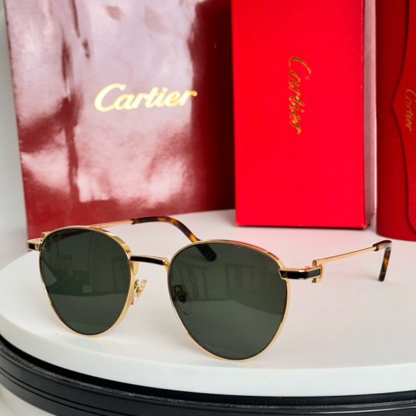 CAR Eyewear SIZE: 56-20-145