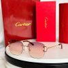 CAR Eyewear SIZE: 52-19-145