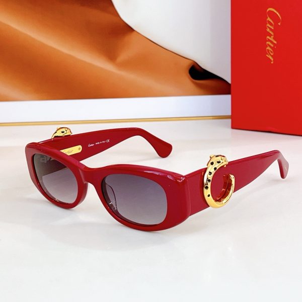 CAR Eyewear SIZE: 50-22-145