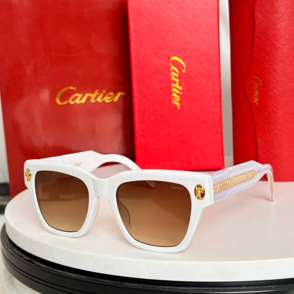 CAR Eyewear SIZE: 50-22-145