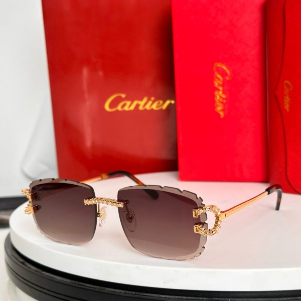 CAR Eyewear SIZE: 56-18-145
