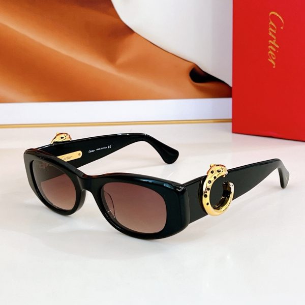 CAR Eyewear SIZE: 50-22-145