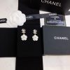 cc Earrings