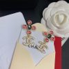 cc Earrings