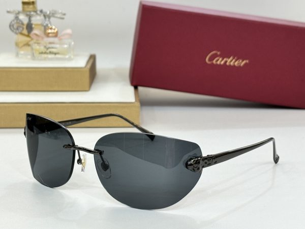 CAR Eyewear SIZE: 51-15-115