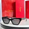 CAR Eyewear SIZE: 52-19-140