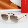 CAR Eyewear SIZE: 56-18-143