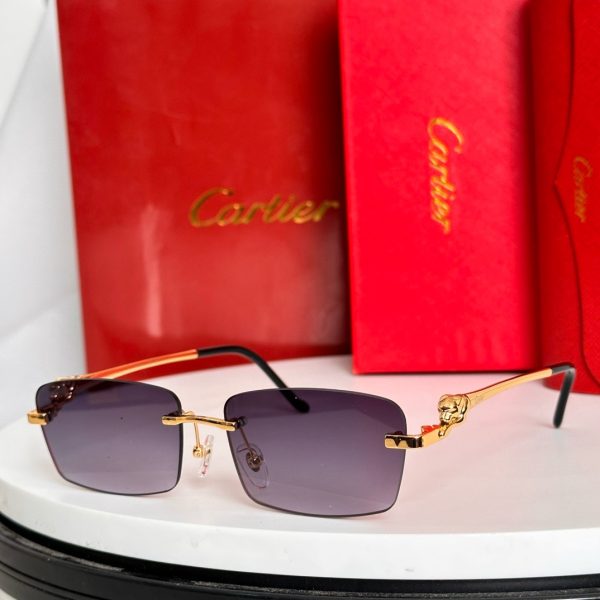 CAR Eyewear SIZE: 56-15-145