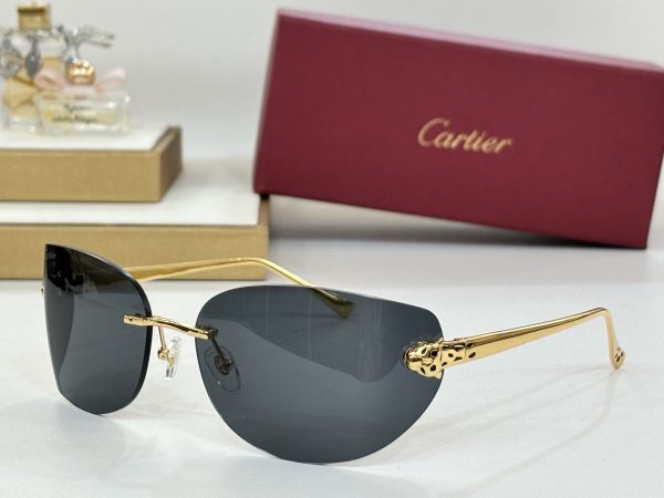 CAR Eyewear SIZE: 51-15-115