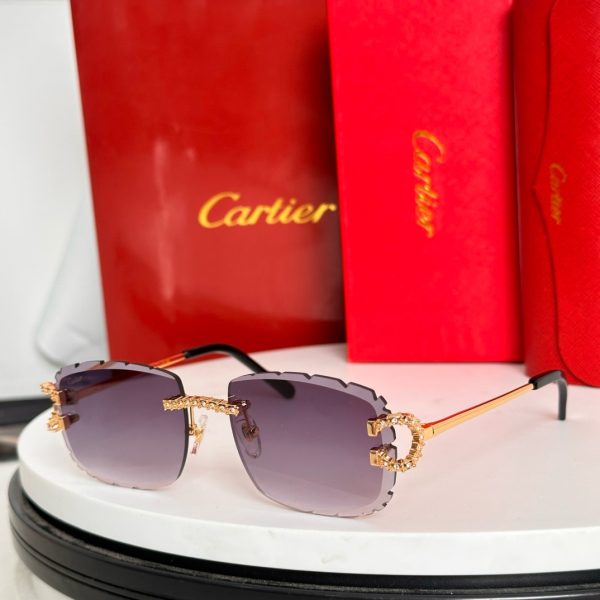 CAR Eyewear SIZE: 56-18-145