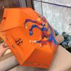 HM Umbrella 0004