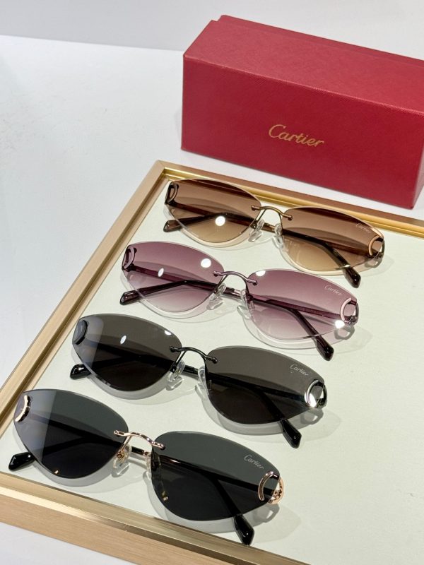 CAR Eyewear SIZE: 65-15-146