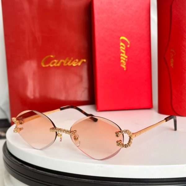 CAR Eyewear SIZE: 58-14-143