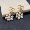 cc Earrings