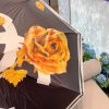CC Umbrella 0055