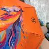 HM Umbrella 0004
