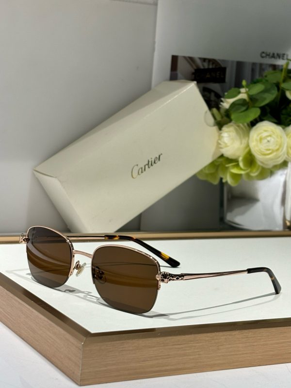 CAR Eyewear SIZE: 54-19-145