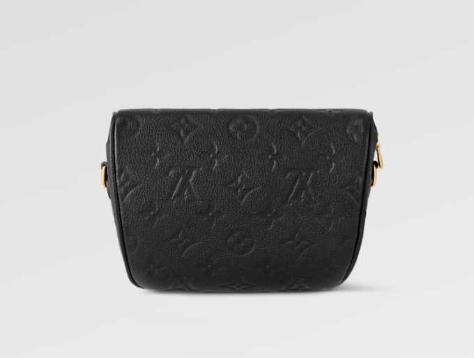 Louis Exclusive Prelaunch Mini Bumbag - Image 3