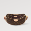 New Louis Remix Croissant MM bag