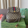 Gg new arrival backpack bag size: 20*21 cm