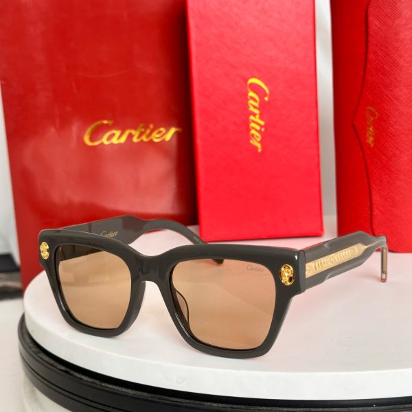 CAR Eyewear SIZE: 50-22-145