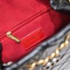 CC 17 Gabrielle backpack size : 24*23*11.5cm