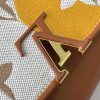 Louis Capucines new arrival bag 03