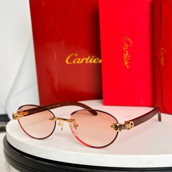CAR Eyewear SIZE: 59-17-143
